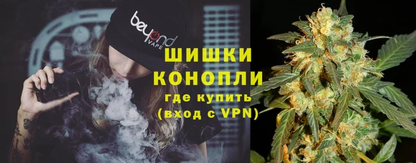 метадон Елизово