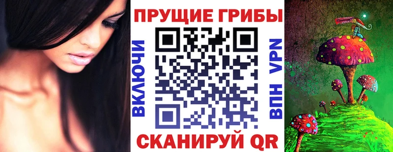 Купить Сунжа Псилоцибиновые грибы ЛСД