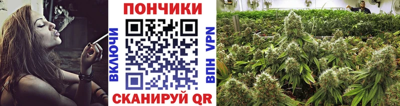 Купить где  Сунжа  Марихуана LSD WEED 